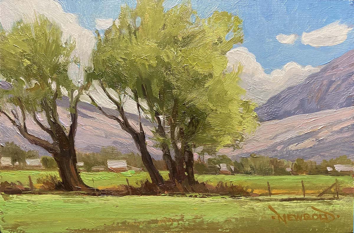 Spring Cottonwoods